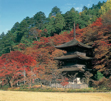 金剛院